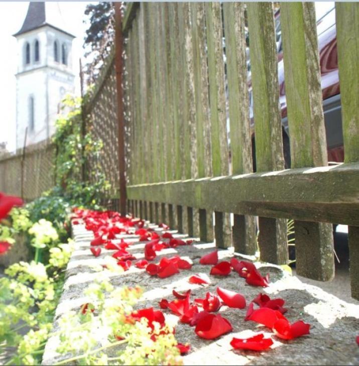 Ringmauer Murten Exterior foto